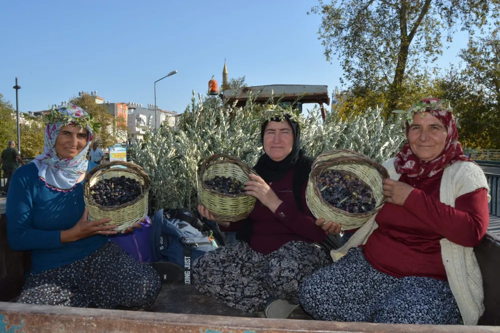 Manavgat’ta Zeytin ve Zeytinyağı Festivali Coşkuyla Başladı