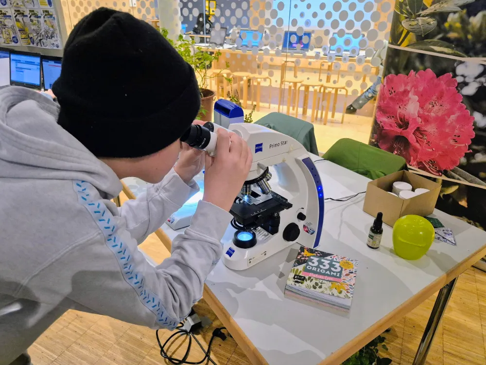 Bremen’de Rekor Katılım: Gençler MINT Günü’ne Akın Etti