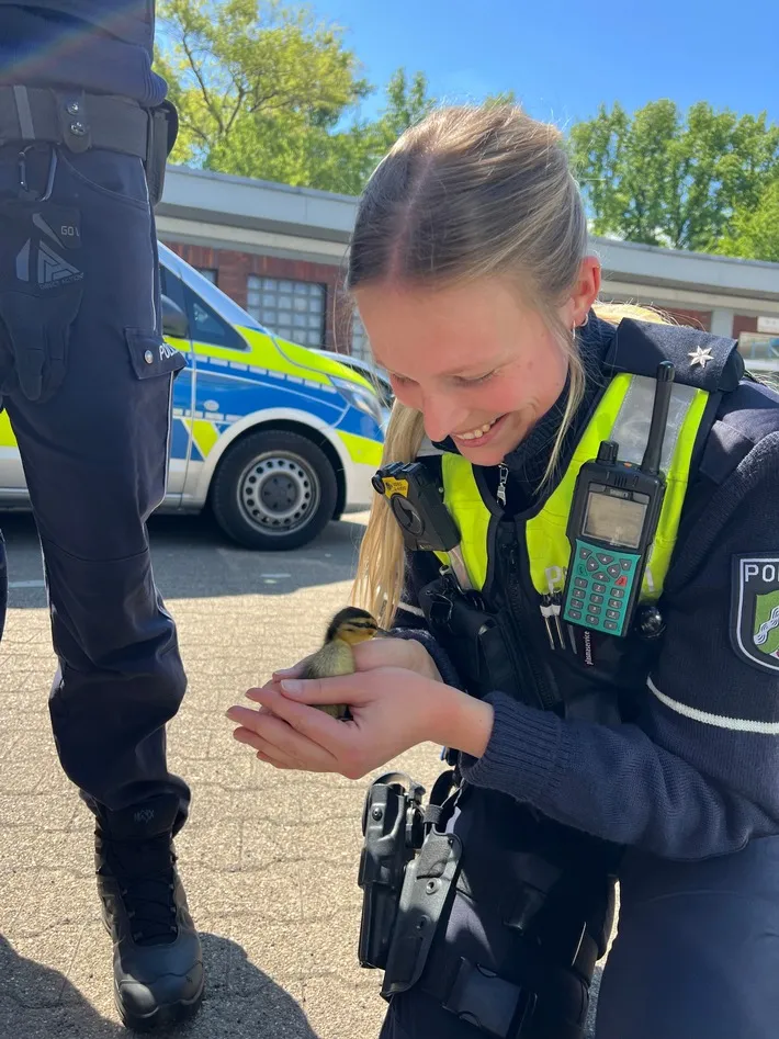 Ente gut, alles gut - Tierischer Einsatz auf der A 40 bei Bochum