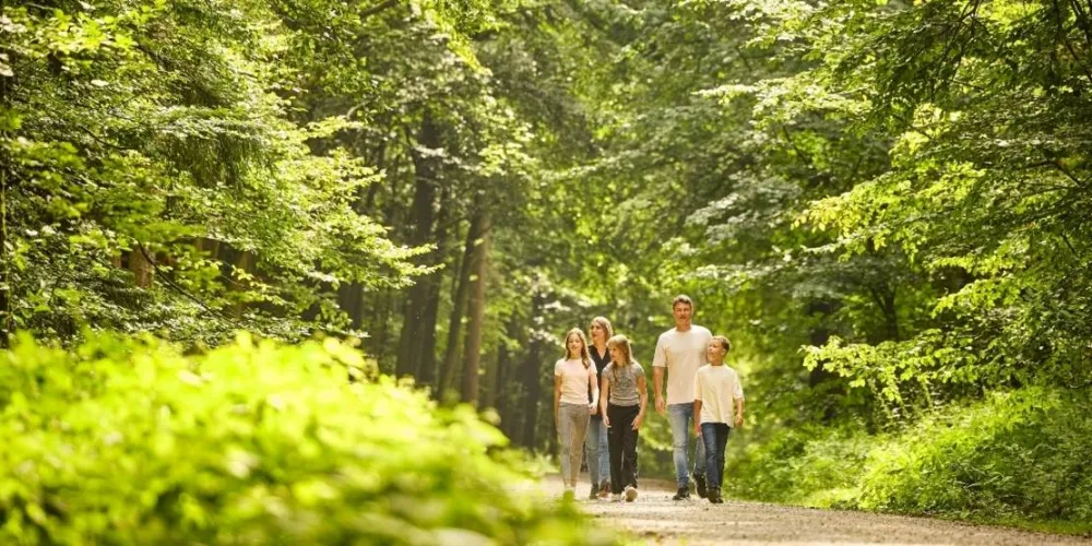 Hannover platziert erneut erfolgreichen „Green & Social“-Schuldschein über 250 Millionen Euro